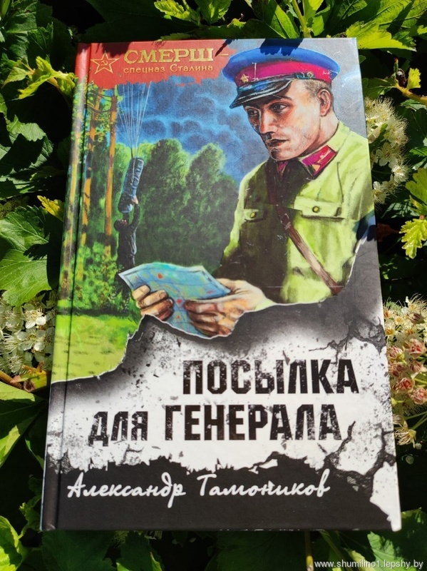 Тамоников, Александр Александрович. Посылка для генерала / Алексанр Тамоников. - Москва : Эксмо, 2022. - 320 с. Тамоников, Александр Александрович. Посылка для генерала / Алексанр Тамоников. - Москва : Эксмо, 2022. - 320 с.